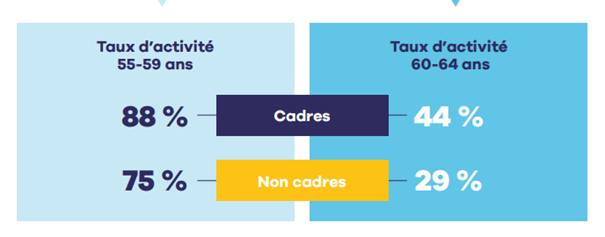 Cadres seniors taux activite.png